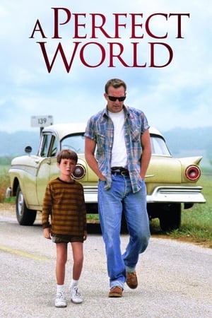 A Perfect World 1993 Hindi Dual Audio 480p BluRay 400MB