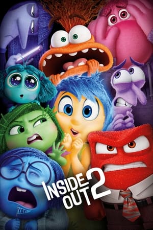 Inside Out 2 2024 Hindi BluRay 720p – 480p – 1080p