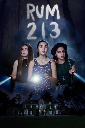 Rum 213 2017 Hindi Dual Audio 480p BluRay 280MB