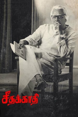 Seethakaathi (2018) Hindi Dubbed 480p HDRip 400MB