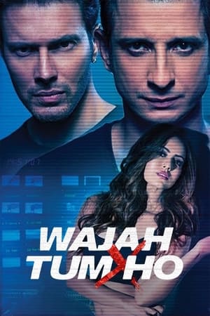 Wajah Tum Ho 2016 [PDVDRip] 700MB BEST